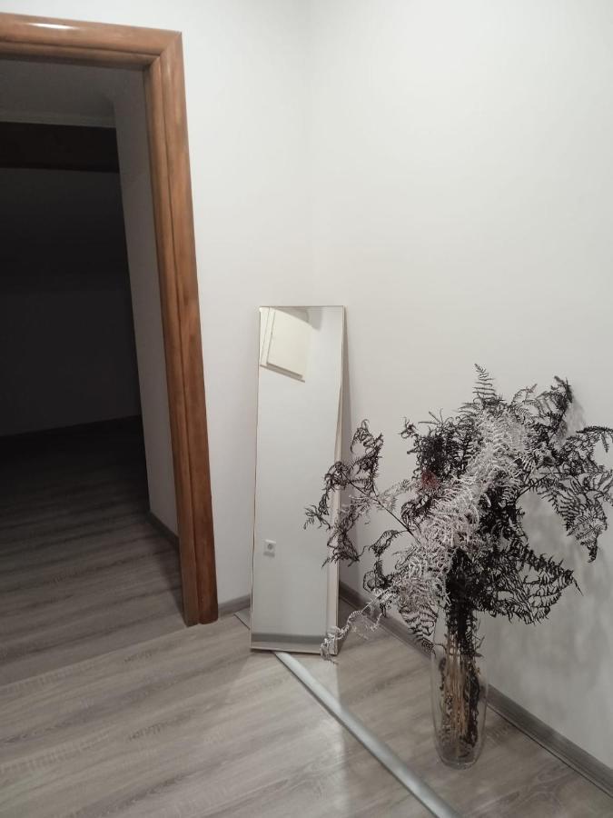 亚伊采Penthouse公寓 外观 照片